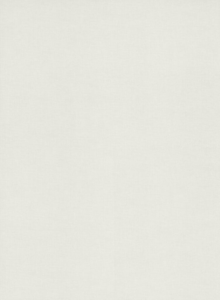 Decolegno decorspaanplaat in off white met een subtiele glans hele plaat afbeelding