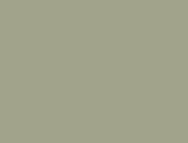 DecoLegno - Decoratief plaatmateriaal - licht groene uni kleur