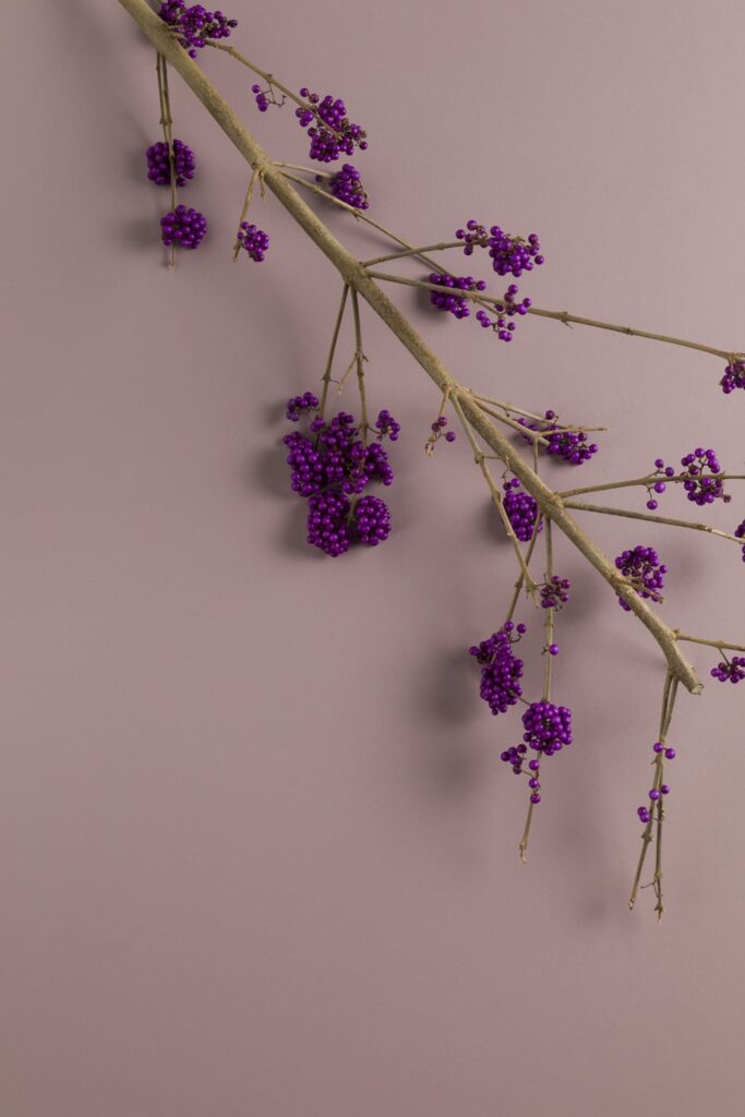 Kleurrijk interieur met FSC® HPL