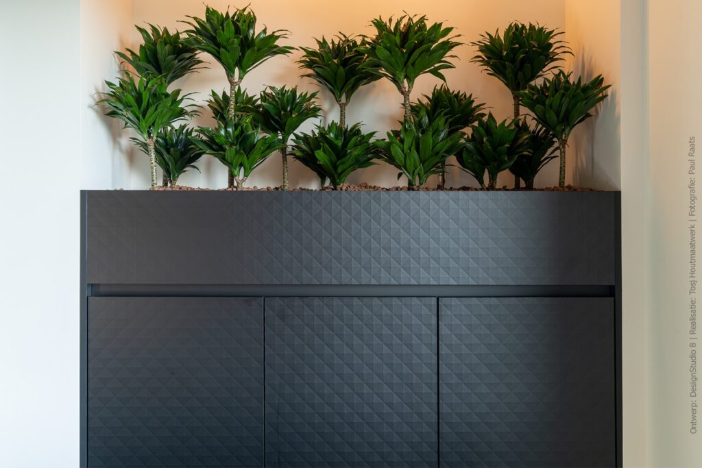 Balie en plantenbak met geometrische uitstraling