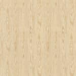 Decoratief plaatmateriaal blond hout pine wood hele plaatafbeelding