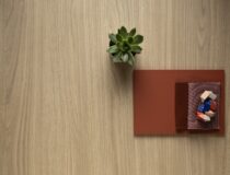 thumbnail Video Corteccia collectie