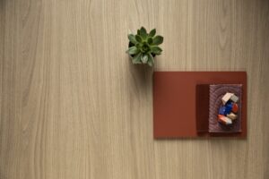 Video Corteccia collectie