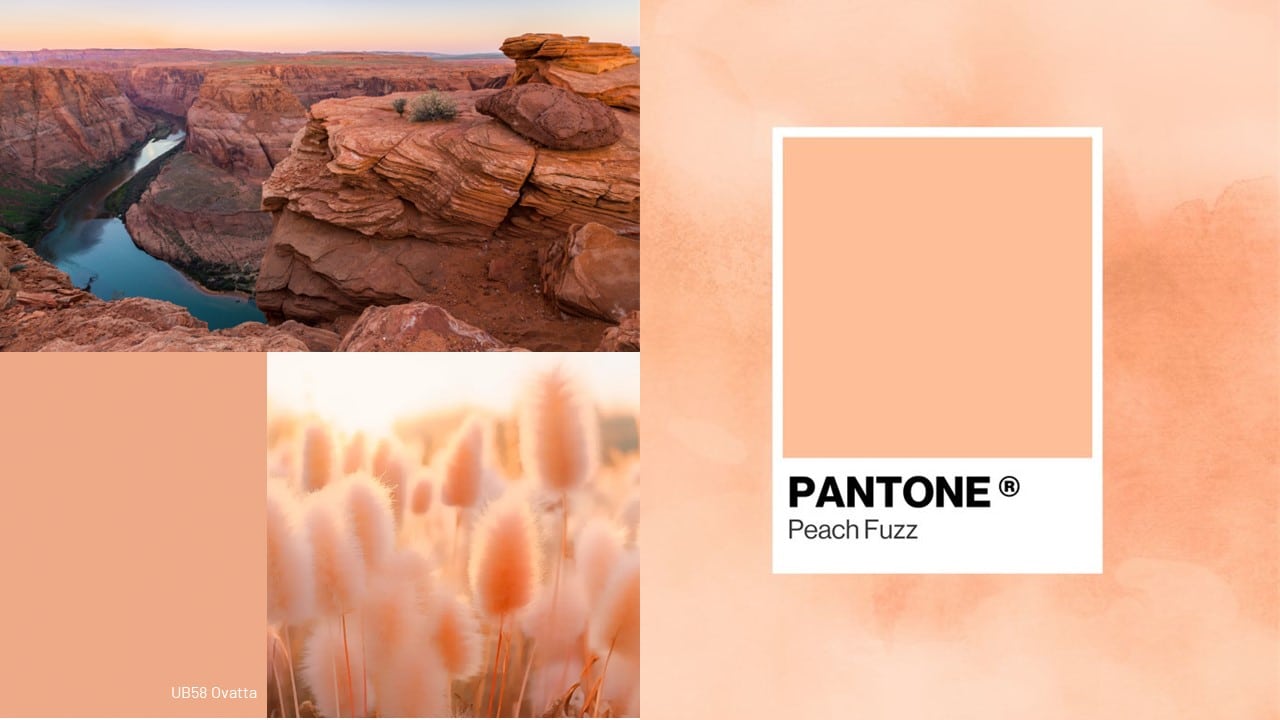 Pantone® kleur van het jaar 2024