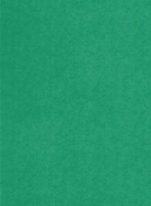 DecoLegno - Decoratief plaatmateriaal groene stuclook