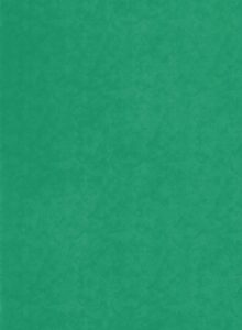 DecoLegno - Decoratief plaatmateriaal groene stuclook