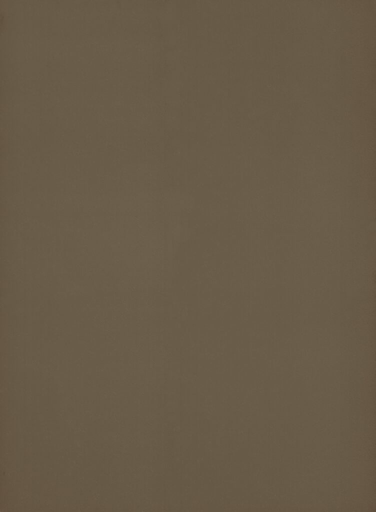 Hele plaatafbeelding van decoratief plaatmateriaal met een moerasgroene natuursteenlook, de FD38 Taranta van Cleaf.