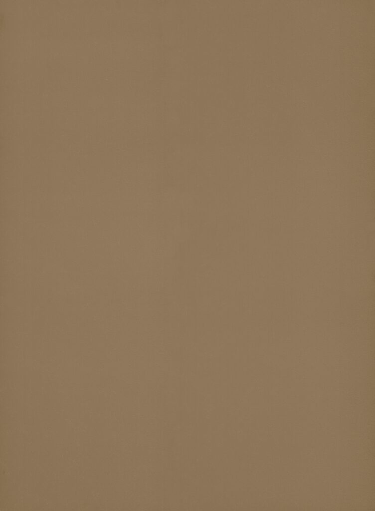 Hele plaatafbeelding van decoratief plaatmateriaal met een goudkleurige natuursteenlook, de FD49 Taranta van Cleaf.