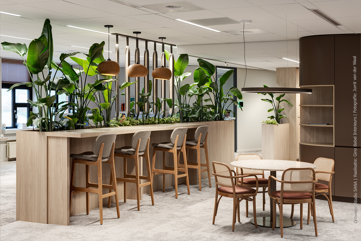 Hoge kantoortafel met geïntegreerde plantenbak in blond houtdecor S164 Fronda
