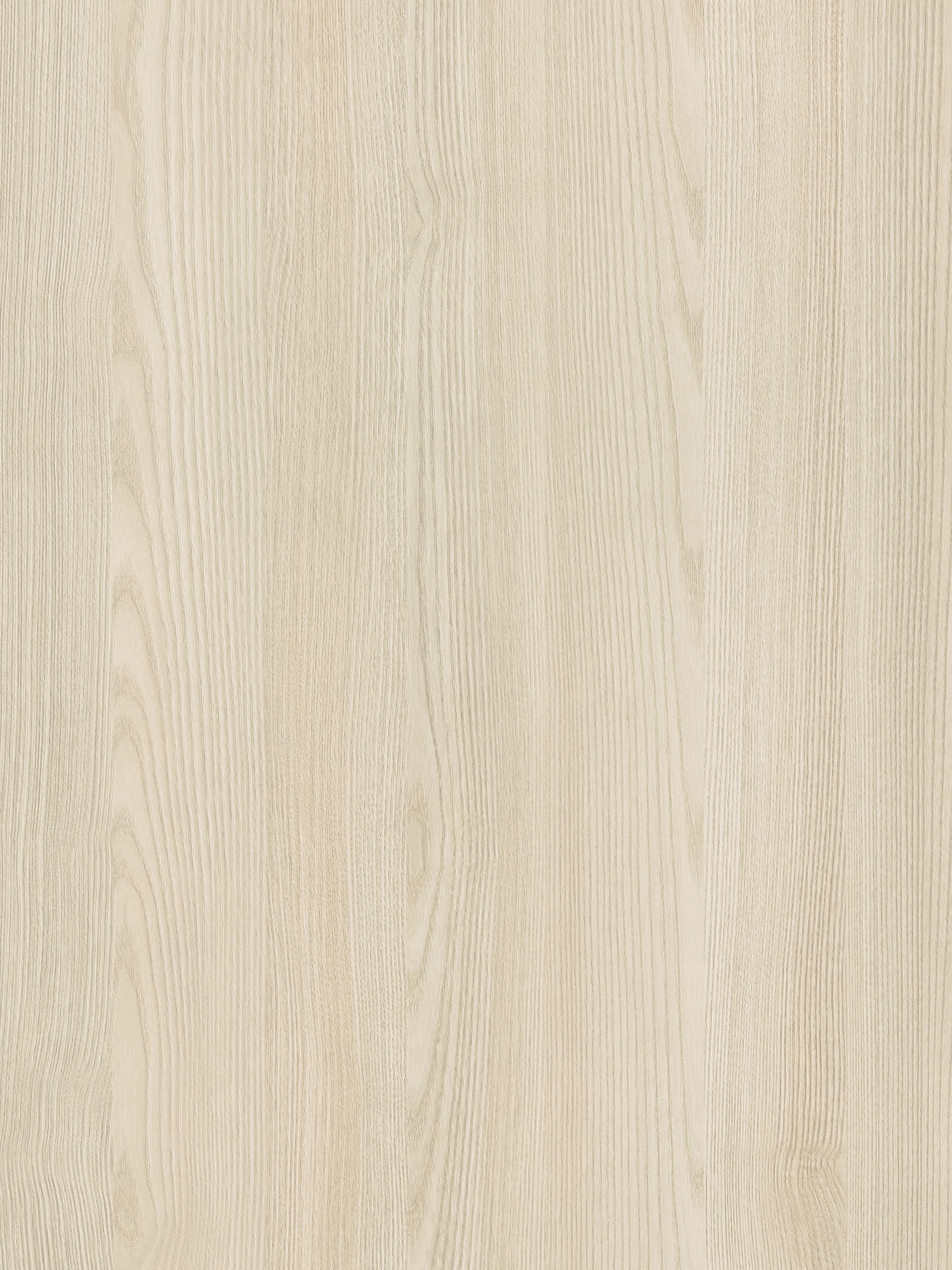5354 detail