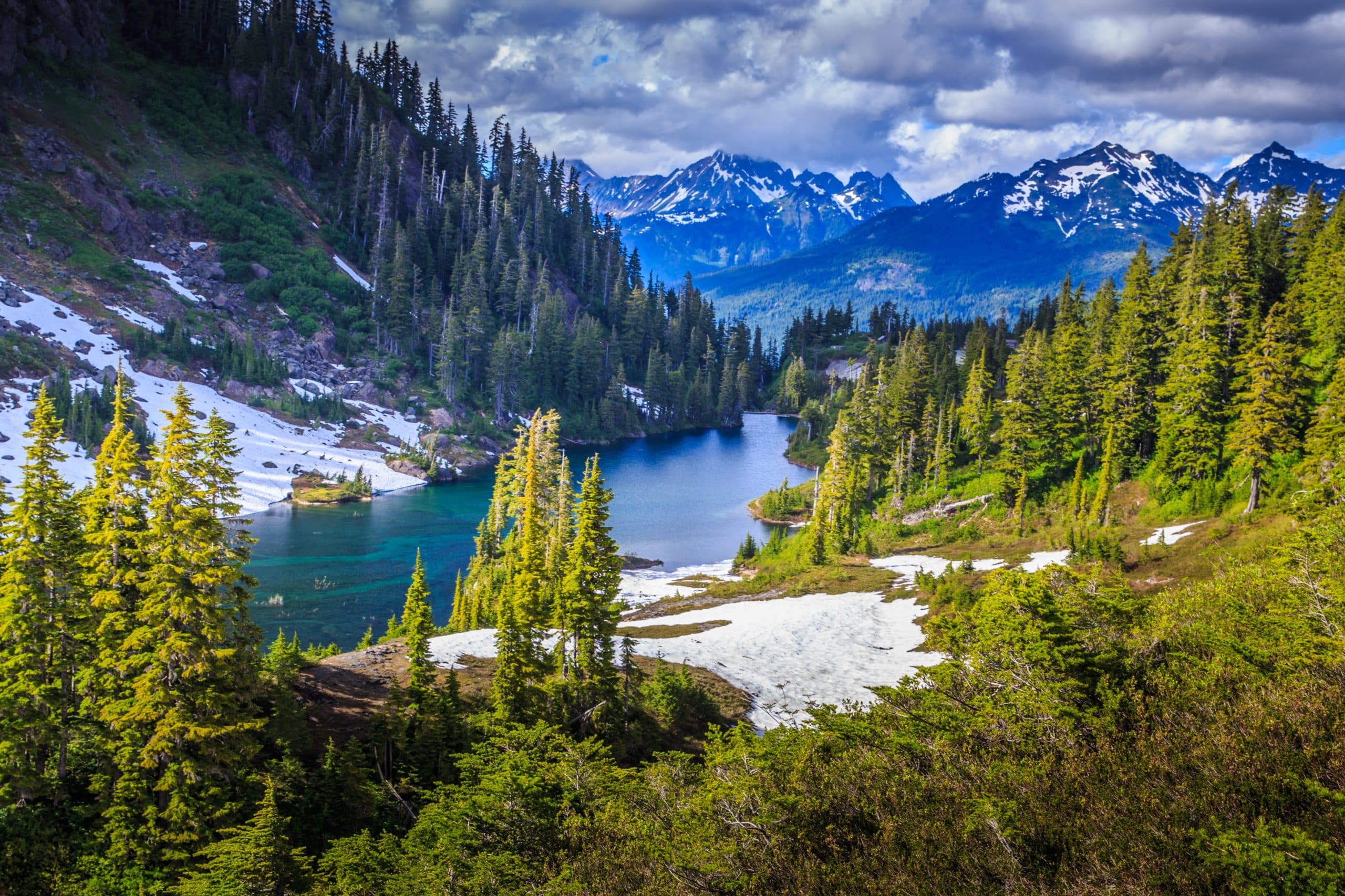 Natuurpark met bergen in Montana