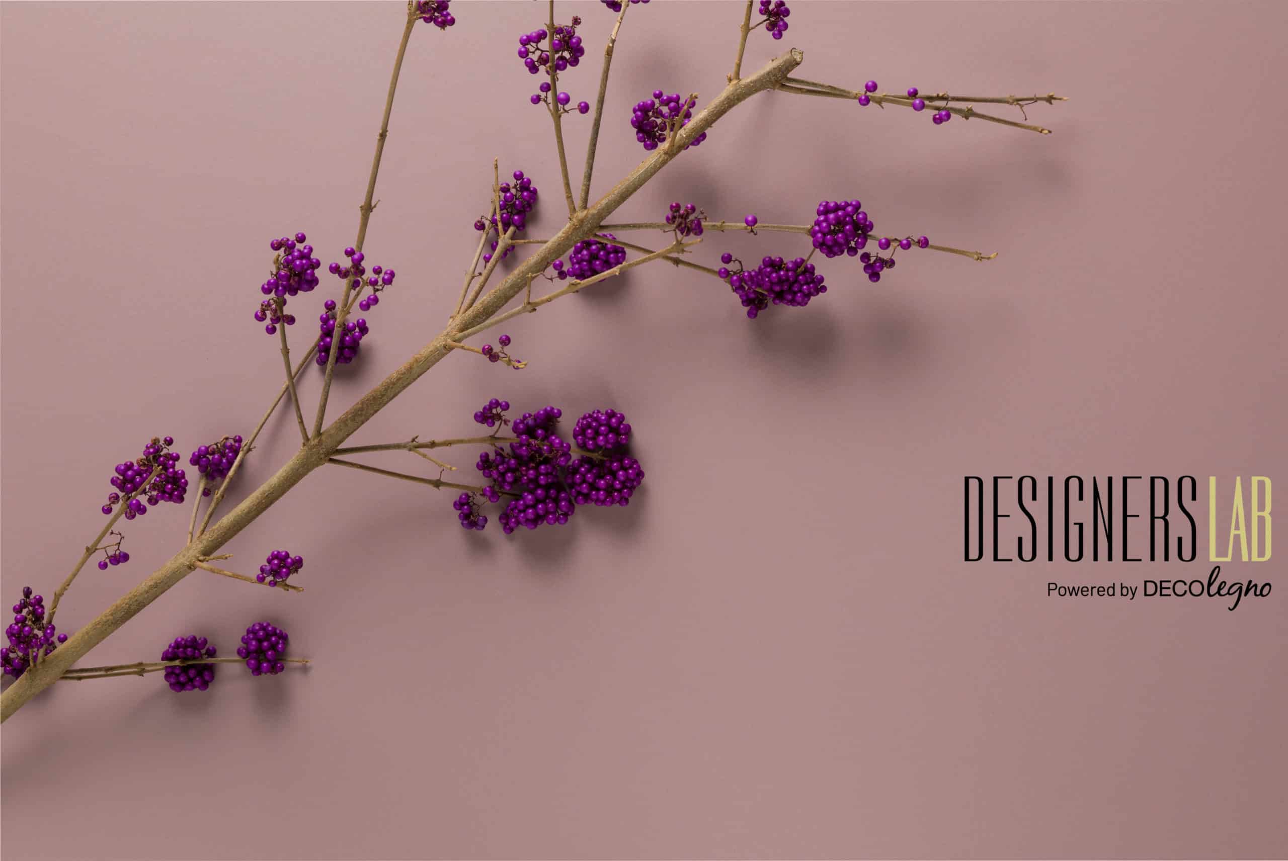 DecoLegno DesignersLab