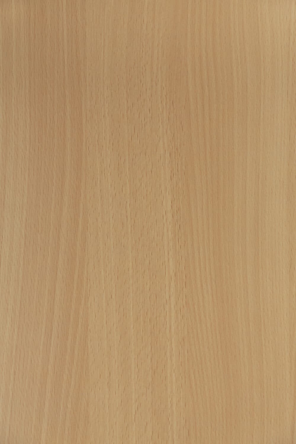 695 Beukenhout Suede HPL Specials Detail