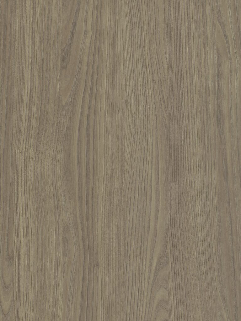 S174 Corteccia